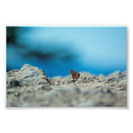 Perspectief Foto Afdruk