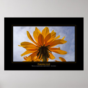 Perspectief Poster