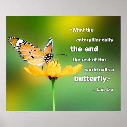 Perspectief Poster Lao Tzu (Voorkant)