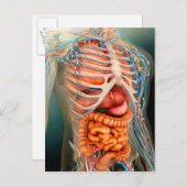 Perspectief Uitzicht van het menselijk lichaam, he Briefkaart (Voorkant / Achterkant)