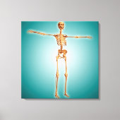 Perspectief Uitzicht van het menselijk skeletsyste Canvas Afdruk (Voorkant)