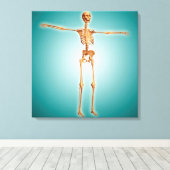 Perspectief Uitzicht van het menselijk skeletsyste Canvas Afdruk (Insitu (Houten vloer))