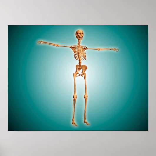 Perspectief Uitzicht van het menselijk skeletsyste Poster (Voorkant)