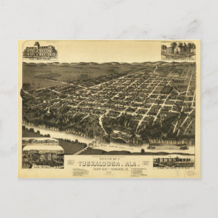 Perspectief voor Tokaloosa Alabama (1887) Briefkaart