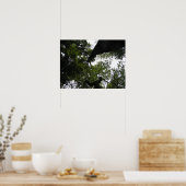 Perspectief - Woodland Foto Poster (Keuken)