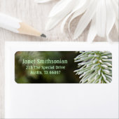 Perspectieflijnen adreslabel etiket (Insitu)