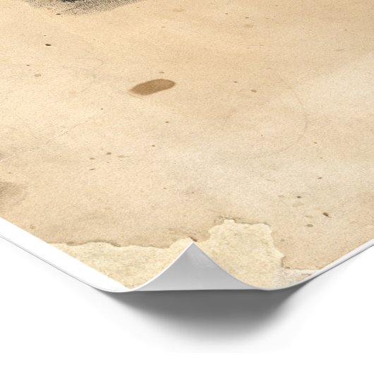 Perspectieve kaart van Duluth Minnesota (1893) Poster (Hoek)