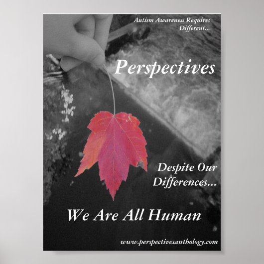 Perspectieven Poster (Voorkant)