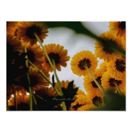 Perspectiva Foto Afdruk (Voorkant)