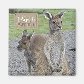 Perth Australia Kangaroo Travel Koelkast Magneten (Voorkant)