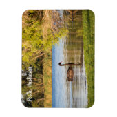 Perth Black Swan Australia Magnet Magneet (Verticaal)