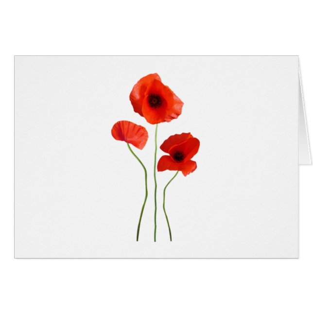 pertussis-poppy (Voorkant Horizontaal)