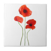 pertussis-poppy tegeltje (Voorkant)