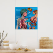 Pertussis (Whooping hoest) poster (Keuken)