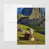 Peru, Andes, Andes, Machu Picchu Briefkaart (Voorkant / Achterkant)
