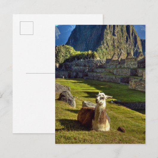 Peru, Andes, Andes, Machu Picchu Briefkaart (Voorkant / Achterkant)