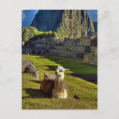 Peru, Andes, Andes, Machu Picchu Briefkaart (Voorkant)