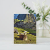 Peru, Andes, Andes, Machu Picchu Briefkaart (Staand voorkant)