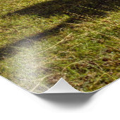 Peru, Andes, Andes, Machu Picchu Foto Afdruk (Hoek)