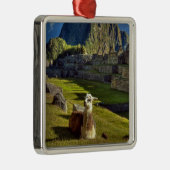 Peru, Andes, Andes, Machu Picchu Metalen Ornament (Rechts)