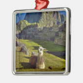 Peru, Andes, Andes, Machu Picchu Metalen Ornament (Links)