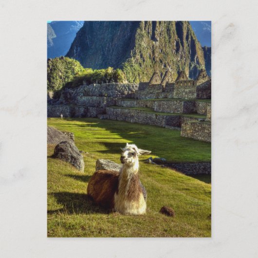 Peru, Andes, Andesgebergte, Machu Picchu Briefkaart (Voorkant)