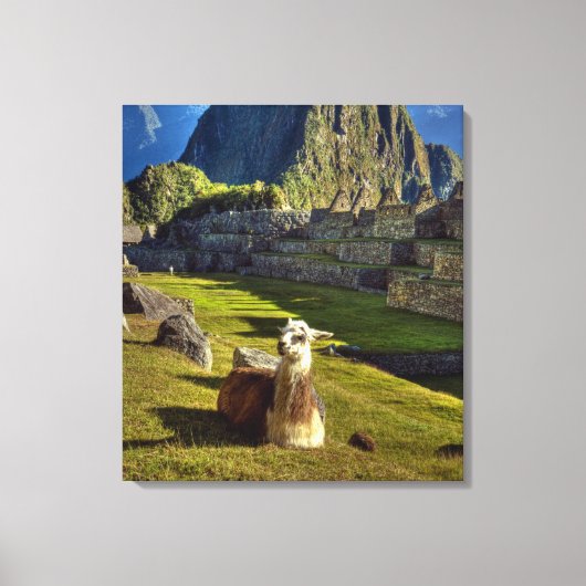 Peru, Andes, Andesgebergte, Machu Picchu, Canvas Afdruk (Voorkant)