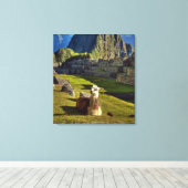 Peru, Andes, Andesgebergte, Machu Picchu, Canvas Afdruk (Insitu (Houten vloer))