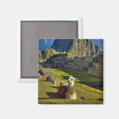 Peru, Andes, Andesgebergte, Machu Picchu Magneet (Voorkant / Achterkant)