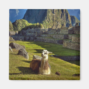 Peru, Andes, Andesgebergte, Machu Picchu Magneet