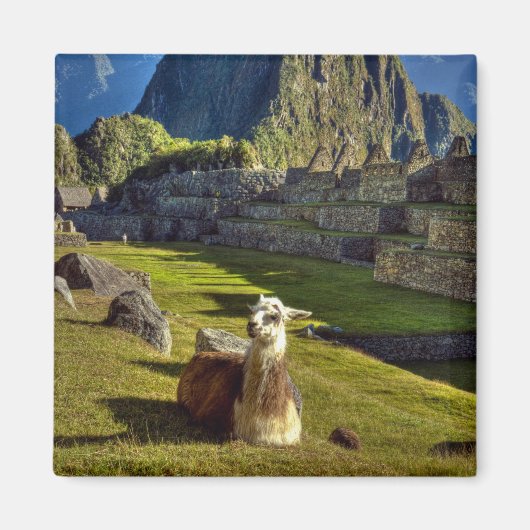 Peru, Andes, Andesgebergte, Machu Picchu Magneet (Voorkant)