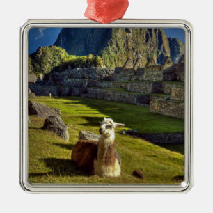 Peru, Andes, Andesgebergte, Machu Picchu Metalen Ornament