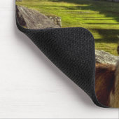 Peru, Andes, Andesgebergte, Machu Picchu Muismat (Hoek)