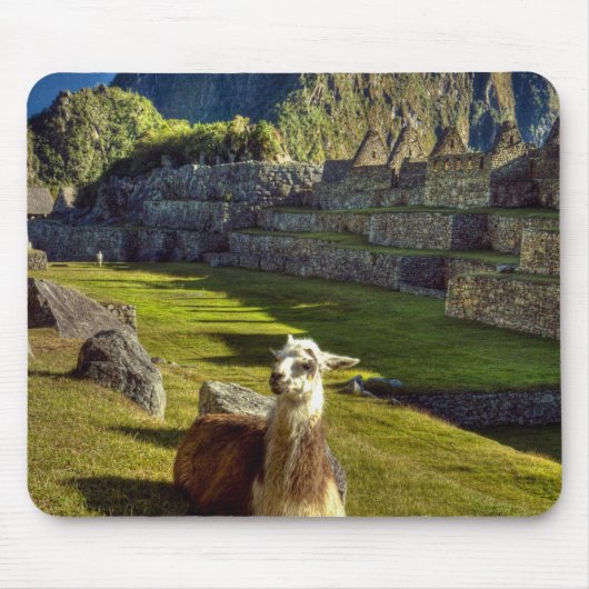 Peru, Andes, Andesgebergte, Machu Picchu Muismat (Voorkant)