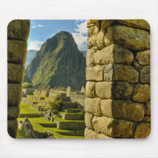 Peru, Andes, Andesgebergte, Machu Picchu, Muismat (Voorkant)