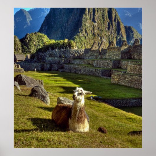 Peru, Andes, Andesgebergte, Machu Picchu Poster (Voorkant)