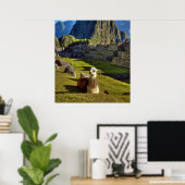 Peru, Andes, Andesgebergte, Machu Picchu Poster (Thuiskantoor)