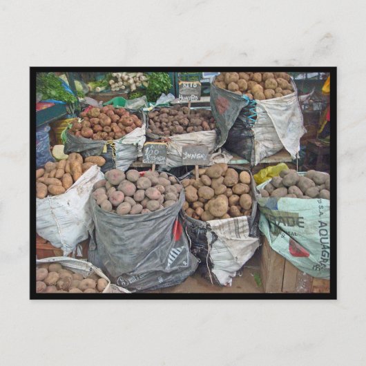 Peru-Land van aardappelen Briefkaart (Voorkant)