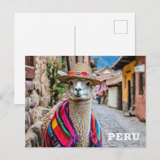 Peru Llama Briefkaart (Voorkant / Achterkant)