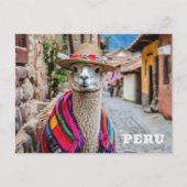 Peru Llama Briefkaart (Voorkant)