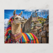 Peru Llama Briefkaart (Voorkant)