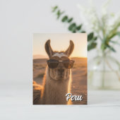 Peru Llama in zonnebril Briefkaart (Staand voorkant)