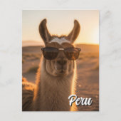 Peru Llama in zonnebril Briefkaart (Voorkant)