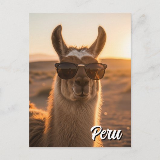 Peru Llama in zonnebril Briefkaart (Voorkant)