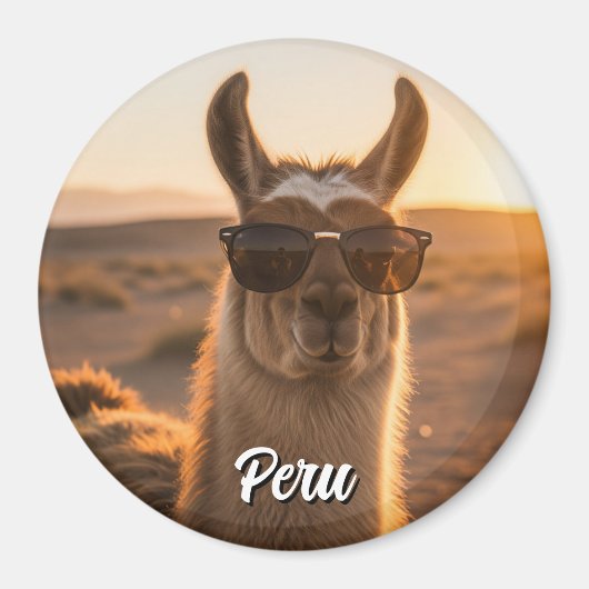 Peru Llama in zonnebril Magneet (Voorkant)