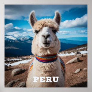 Peru Llama Poster