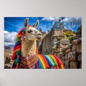 Peru Llama Poster (Voorkant)