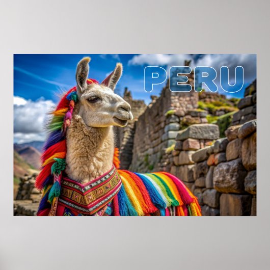 Peru Llama Poster (Voorkant)