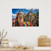 Peru Llama Poster (Keuken)