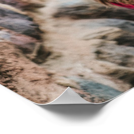 Peru Llama Poster (Hoek)